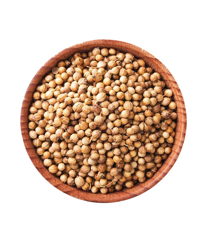 Coriander Importer from India India stands as one of the largest producers and exporters of coriander seeds in the world, known for their rich aroma, natural flavor, and superior quality. For global buyers, partnering with a reliable coriander importer from India ensures access to premium-grade coriander that meets international food standards and market expectations. From whole seeds to processed varieties, Indian exporters deliver consistency, purity, and value in every shipment.