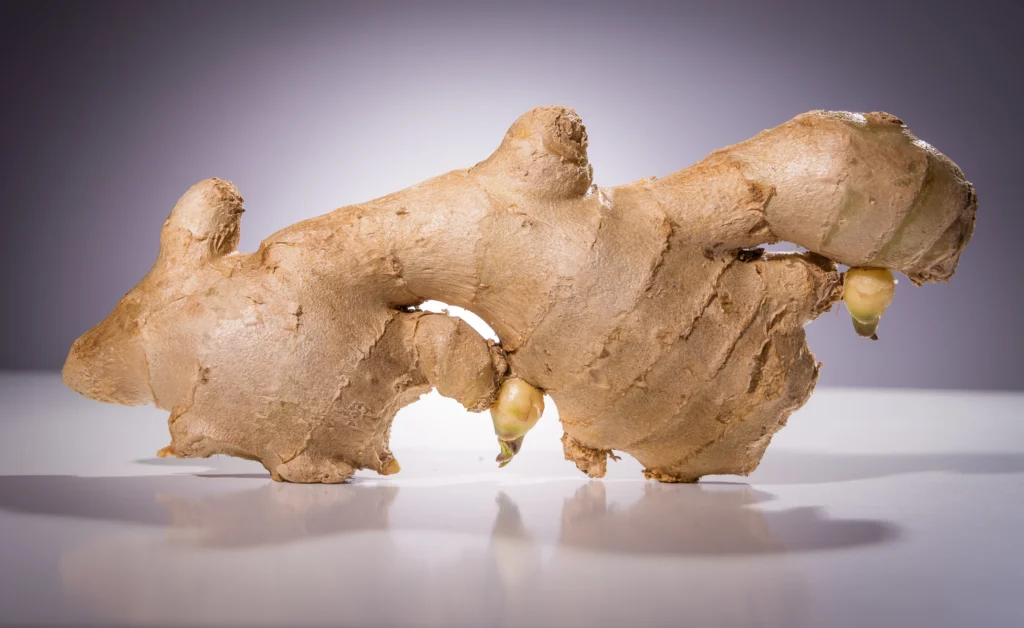 ginger exporter from India