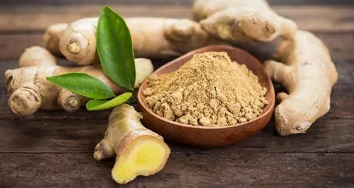 ginger exporters from india