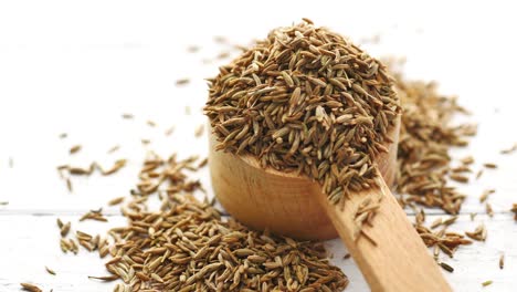 Cumin Seed Exporters