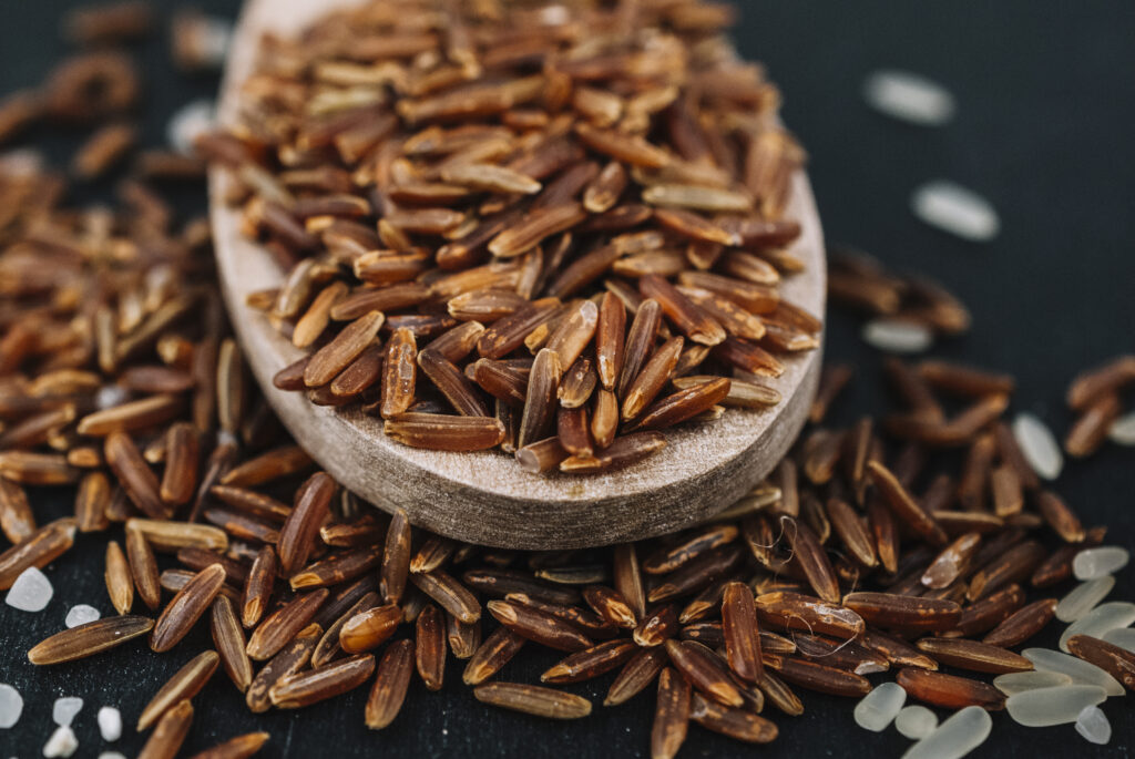 Cumin Seed Exporter from India